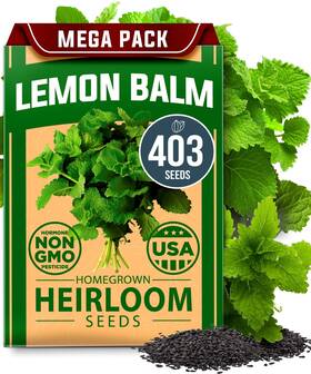 Home Grown 850056627832 Non Gmo Lemon Balm Seed Pack - 403 Non-gmo Usa Brown