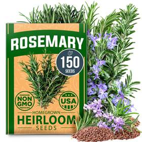 Home Grown 850056627863 Non Gmo Rosemary Seeds Pack - 150 High Germinating Brown