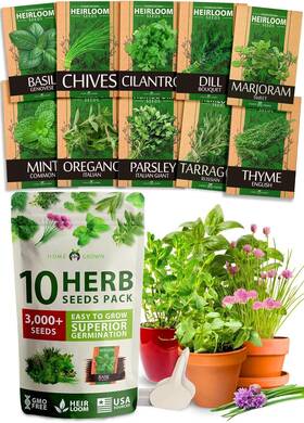 Hg10h Home Grown 10 Culinary Herb Seeds - Non-gmo Heirloom 3000 For Brown