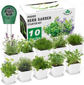 Growing2406 Irealgarden Indoor Herb Garden Kit 10 Non-gmo Seeds With Soil Pots And White/green