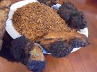 Jan-2018 Chaga Premium Ground Mushroom Adirondack Mtns