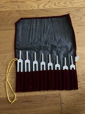 Pyt-8-p Jonathan Goldman S Healing Tuning Forks Harmonic Spectrum Set Of 8 Pythagorean