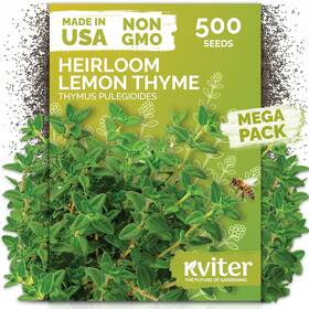 Kviter 850074691600 500 Lemon Thyme Seeds For Planting Thymus Pulegioides Wild Purple