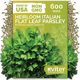 Kviter 850074691839 600 Flat Leaf Italian Parsley Seeds Petroselinum Crispum - Green