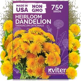 Kviter 850080934104 750 Dandelion Seeds For Planting Taraxacum Officinale Yellow
