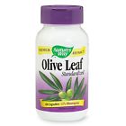 4994661 Leaf Standardized Nature 60ct 600 033674640005 Way Olive