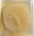 Lepac5747 Scoby Kombucha 1 X 617401885022