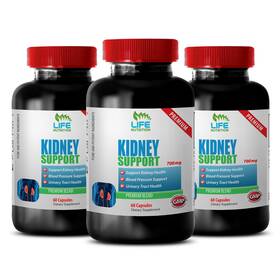 Life Nutrition 788619706970 Dietary Supplement - Kidney Support Formula 700mg Immune Strengthening 3b