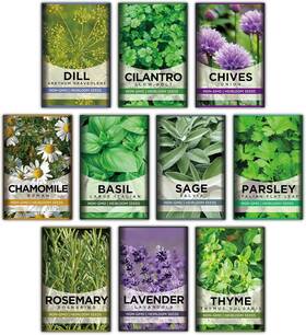 10h04 Meekear 10 Kit Non-gmo Growing Into Thyme Lavender Chamomile Dill Chives Green