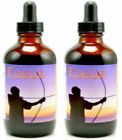 Memory - Concentration Function Brain Improve Vegan 2pk Loss Focus