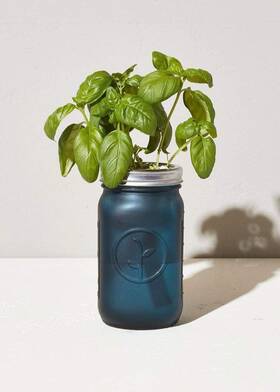 Ms-gj-1020 Modern Sprout Glass Jar Grow Set Indoor Herb Garden Seed Starter 1 Ea Blue