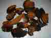 Mtns-9 Natural Genuine Chaga Fresh Chaga-living Birch Trees-adirondack Lbs