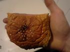 Muscaria Dried Amanita Agaric Caps High Fly Quality Oz