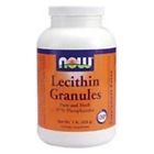 N-a Now Foods Lecithin Granules Cannister By Shipping Is 0733739022608