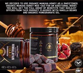 1122343 Nature S Elixir Natural Himalayan Shilajit Gold Gummies Organic Extremely Potent Fulvic Acid