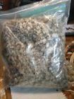 Nicotine- American Oz Native Medicinal 1 Tobacco Rabbit Cure Plant Herbal