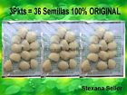 3pkts Nuez 36 India Semilla De - Original La Adelgazante 100 Semillas