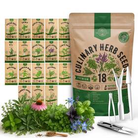 Organo Republic Orsch 21 07 Fba 18 Culinary Herbs Seeds Variety Herb Green Purple