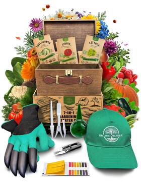 Organo Republic Orsgb 23 05 75 Medicinal And Tea Herb Seeds Green Red Purple Yellow