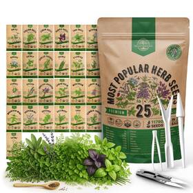 Organo Republic Orsph 22 05 Fba 25 Most Popular Herb Seeds Variety Pack - 11 700 Non-gmo Green