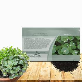Outsidepride 678482979147 Winter Purslane Seeds For Planting - 5 000 Pcs 5000 Green