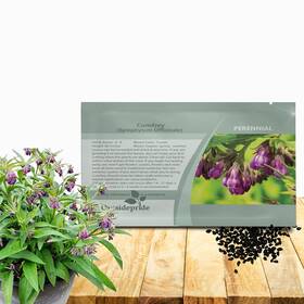 F1330 Outsidepride Comfrey Seeds - 100 Pcs. Perennial Purple