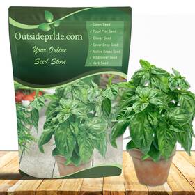 Out-2708 Outsidepride Genovese Sweet Basil Seeds For Planting - 1/2 Lb. White