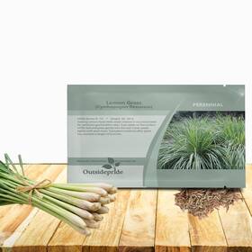 Out-2933 Outsidepride Lemon Grass Seeds For Planting - 1000 Green