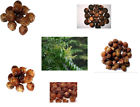 Oz Aritha . Nuts 8 Hair Care Reetha Bag..