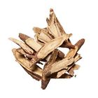 Pdh546 Plum Dragon Herbs Gan