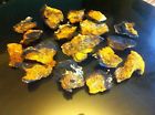 Pieces Lbs Chaga Dried Nice Mushrooms 5 Chunks Air
