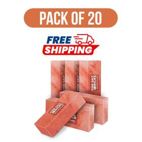 Psb-sb-20 Pink Salt Bricks Himalayan 8x4x2 Pack Of 20 For Spa Sauna Walls And Home Dec