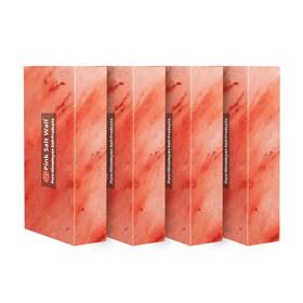 Psw-sb-po4 Pink Salt Wall Himalayan Bricks 8x4x2 Pack Of 4 For Home Decoration Spa And Sauna
