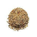Plum Dragon Herbs Bee Pollen Chinese Herb Medicinal Grade 1 Lb 737123672332