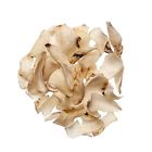 Plum Dragon Herbs Bulbus Lilii Lily Bulb Bai He Chinese Herb 737123671847