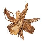 Plum Dragon Herbs Dang Gui Whole Root Angelica Chinese Herb 1lb 725177537363