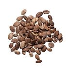Plum Dragon Herbs Gua Lou Ren Chinese Herb Tricosanthes Seed 1 Lb 737123669929