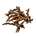 Plum Dragon Herbs Huang Lian Chinese Herb Coptis Rhizome 1 Lb 737123670123