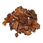 Plum Dragon Herbs Ligusticum Root Chuan Xiong Sugared Chinese Herb 1 Lb 737123669479