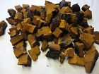 Processed Mushroom Fresh Yellow Pound Birch Chunks Maine Chaga Northern