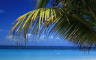 Professional Medical Freedom That Cd Hypnosis Agoraphobia Works
