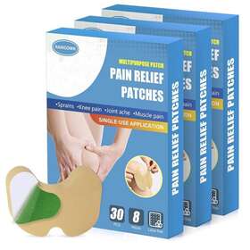 Raingown 625500748513 Knee Pain Relief Patches - 90 Count Natural Herbal For More