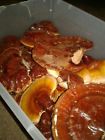 Reis1lb Unbranded Reishi Mushroom Organic