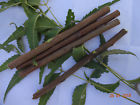 Rknt001 Radhekrishnafashions 10 Chewing Sticks