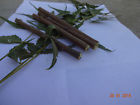 Rknt005 Radhekrishnafashions Organic Neem Chew