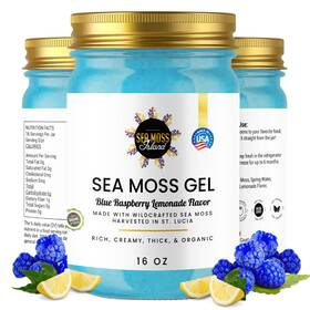 Sea Moss Island 198168727713 Organic Gel - Wildcrafted Irish Seamoss Blue Raspberry Lemonade