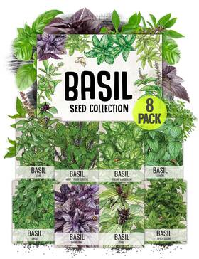Seed Needs 682962474411 Culinary Basil Herb Packet Collection 8 Individual Mixed