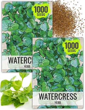 Seed Needs 682962476675 Watercress Seeds For Planting Nasturtium Officinale - Green