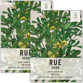 Seed Needs 682962477115 Rue Seeds - 200 Heirloom For Planting Ruta Yellow