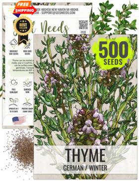 Seed Needs 682962477900 Thyme Seeds For Planting - Non-gmo Heirloom And 1 Pack